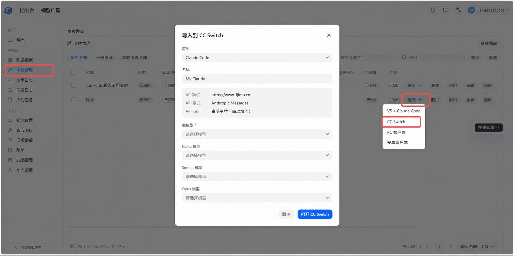 填入 CC Switch 弹窗