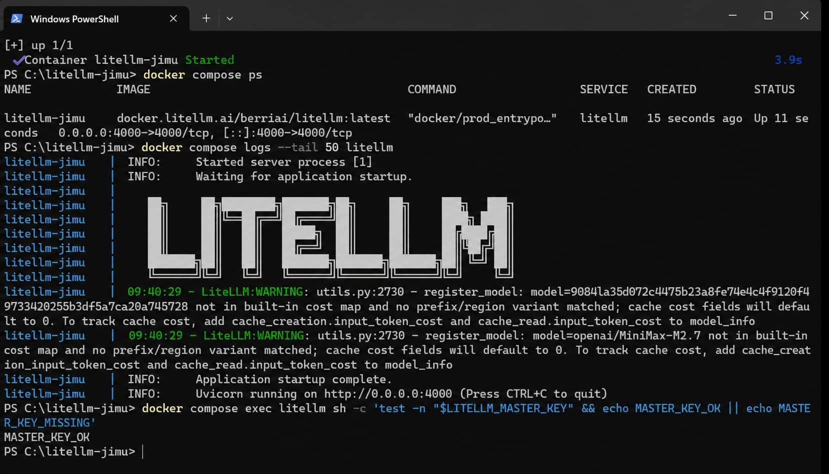 LiteLLM 容器重建及环境变量检查