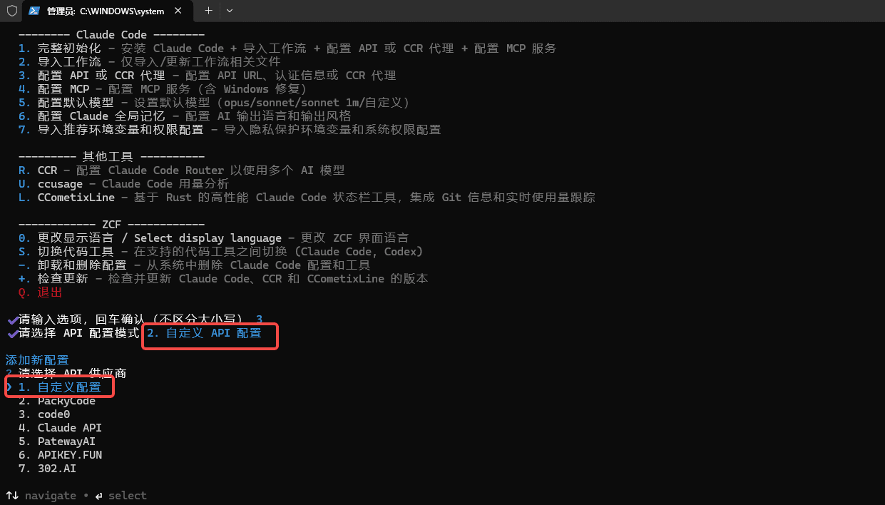 选择自定义 API 服务商